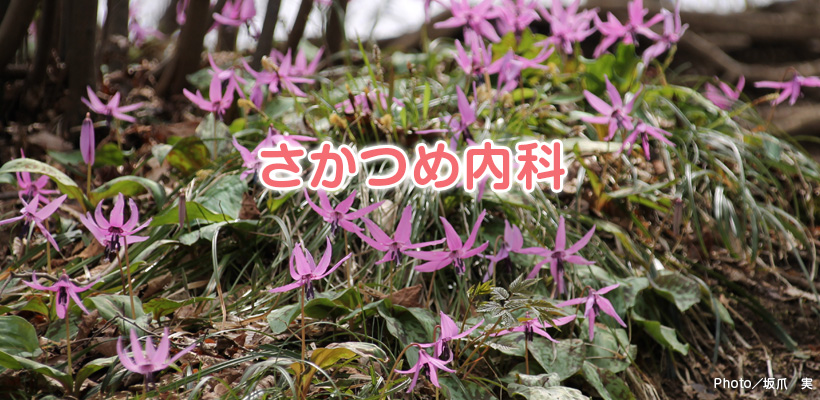 メインイメージ4