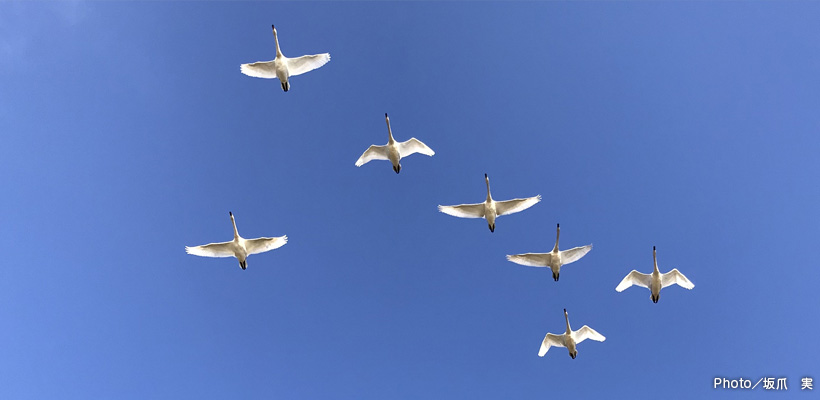 メインイメージ6