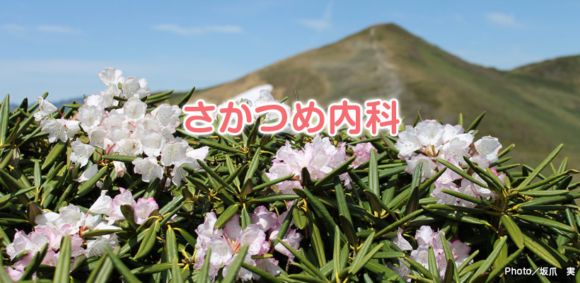 メインイメージ4